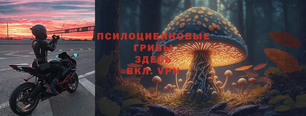 гидра Тутаев