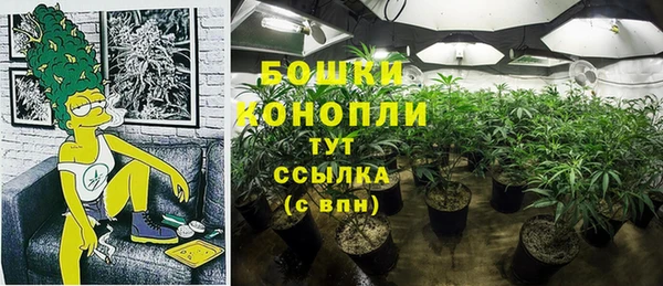трава Тында